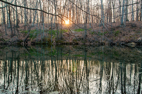 DSC_0950-Edit