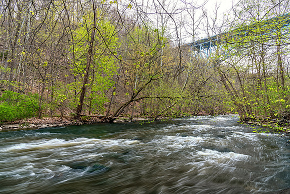 DSC_0719-Edit