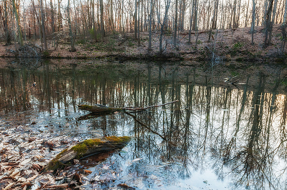 DSC_0956-Edit